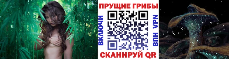 Псилоцибиновые грибы мухоморы  Купить где  Химки 